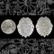 Antiqued Silver Plated Brass Pendant Shields - Set of Two - S-W40